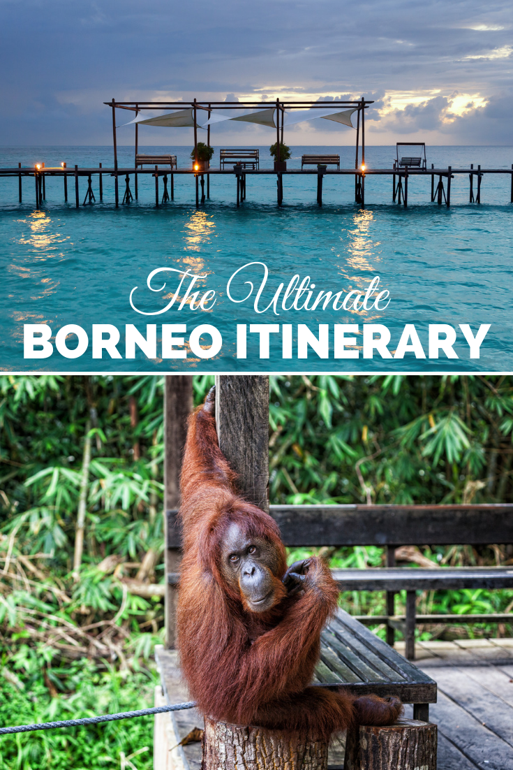 2-Week Borneo Itinerary: Best Route For Orangutans, Beaches, Jungles ...